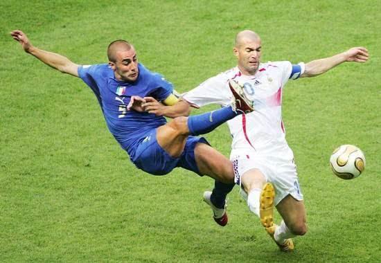 山东队收获 山东队收获